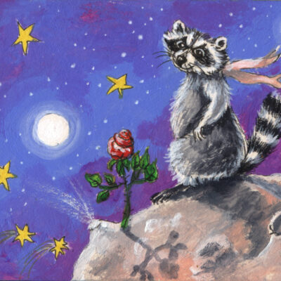 Raccoons