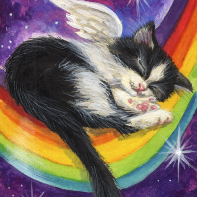 Kitten in Space - by Katya Bazhlekova