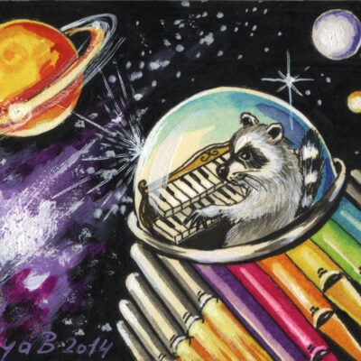 Raccoons in Space
