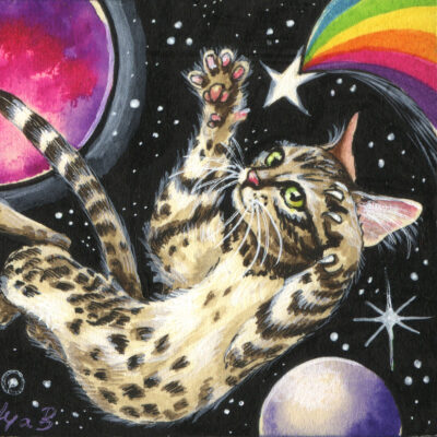 Cats in Space